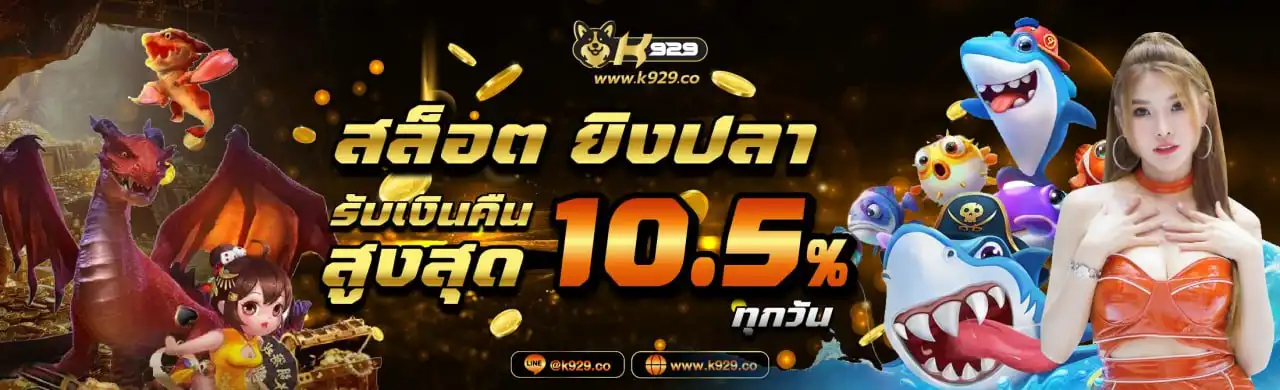 banner20250502143605544.webp